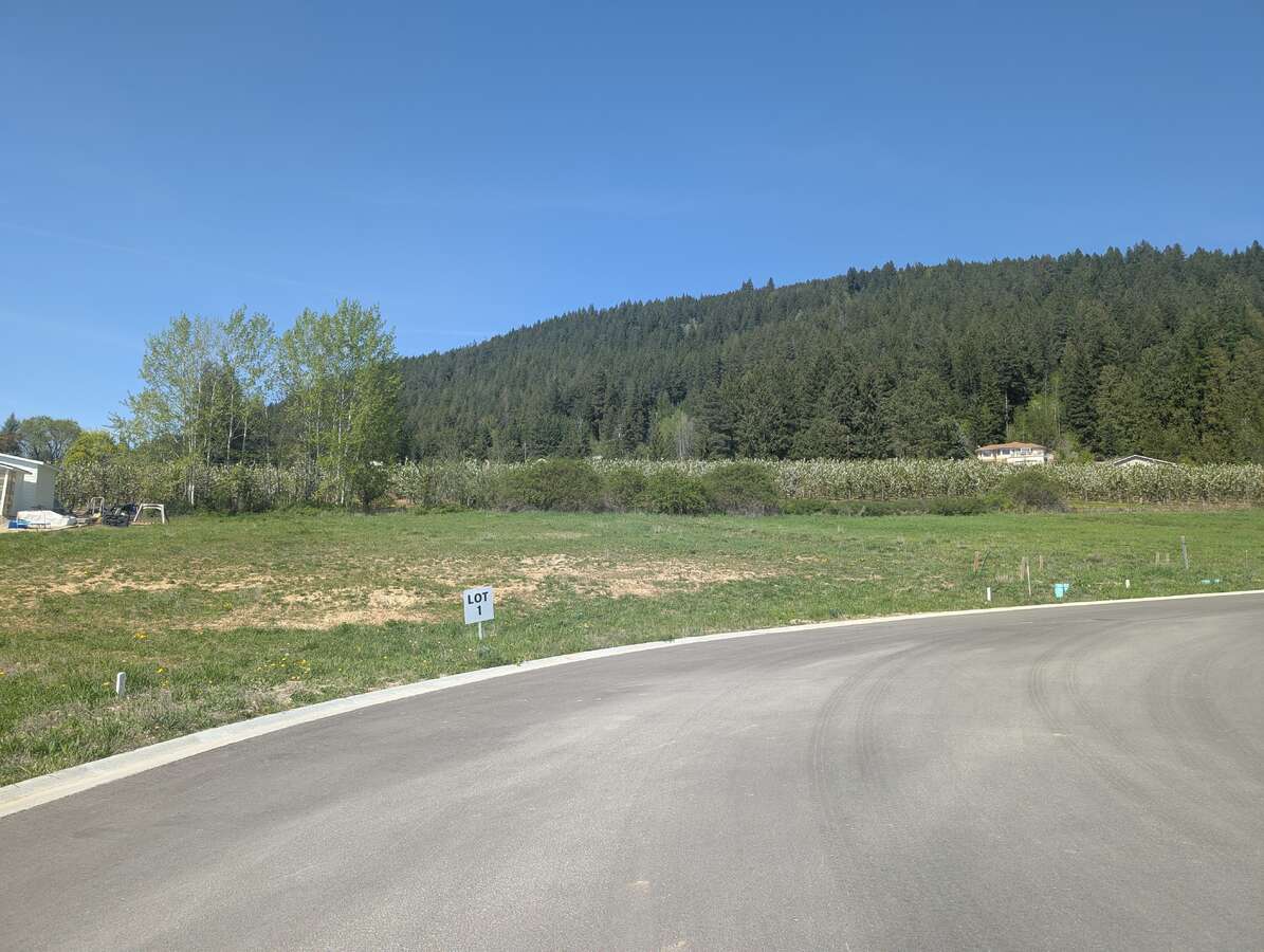 Lot 1 - 1920 McLaren Street - Corner Lot ~.4 acres