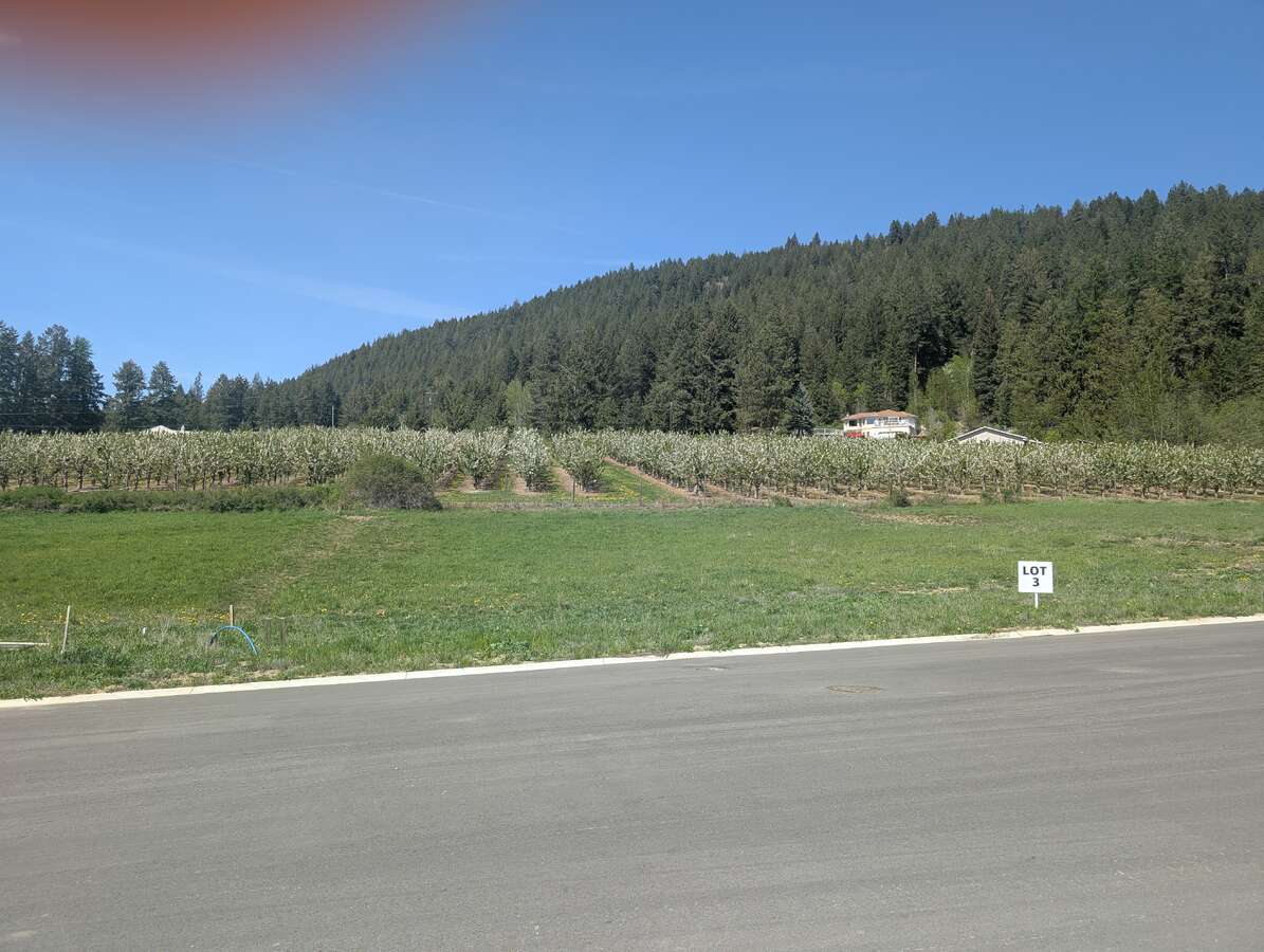 Lot 3 - 1932 McLaren Street ~.4 acres