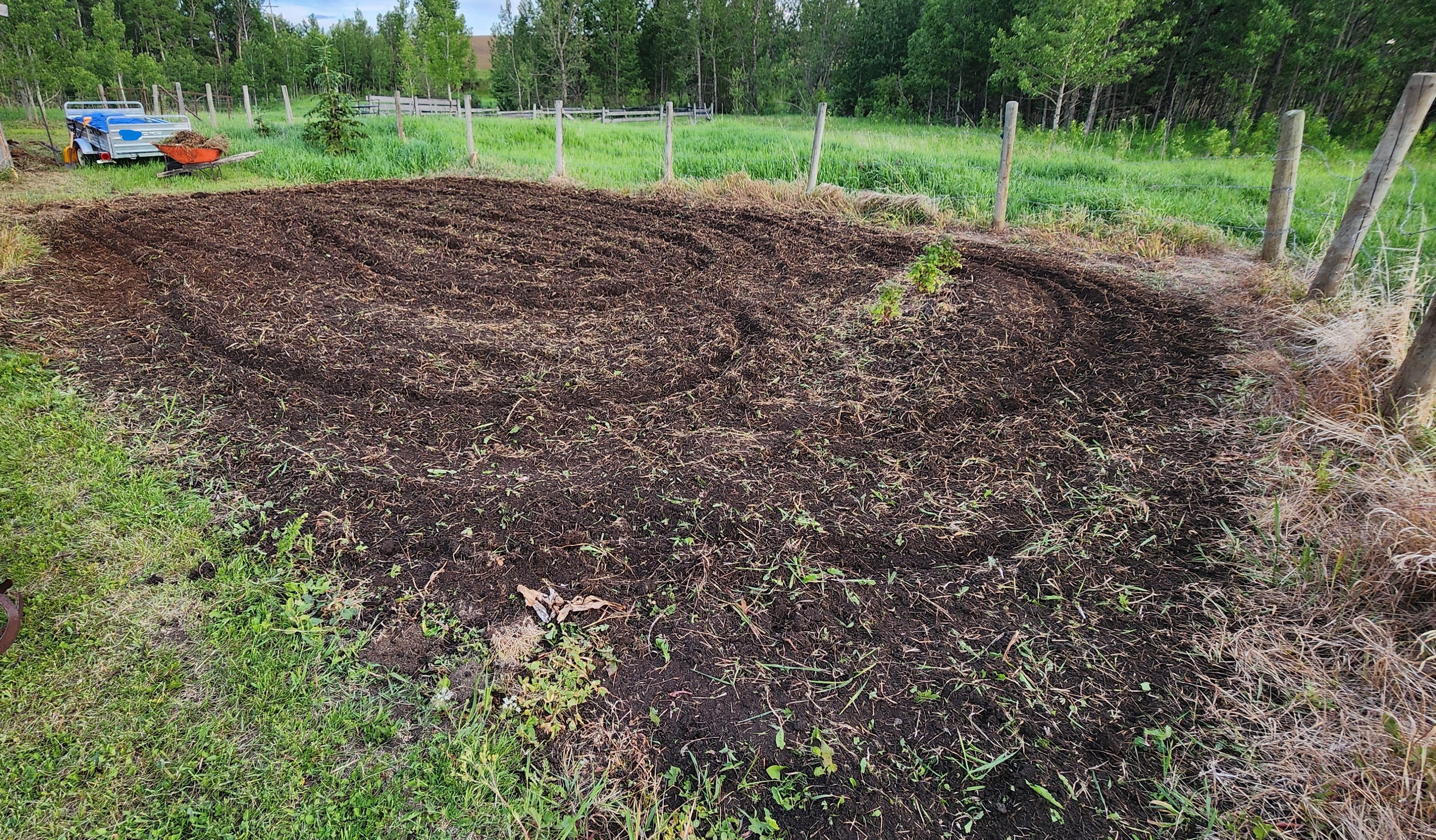 7.8-Acre Acreage by Sundre, Horse Friendly, Quiet