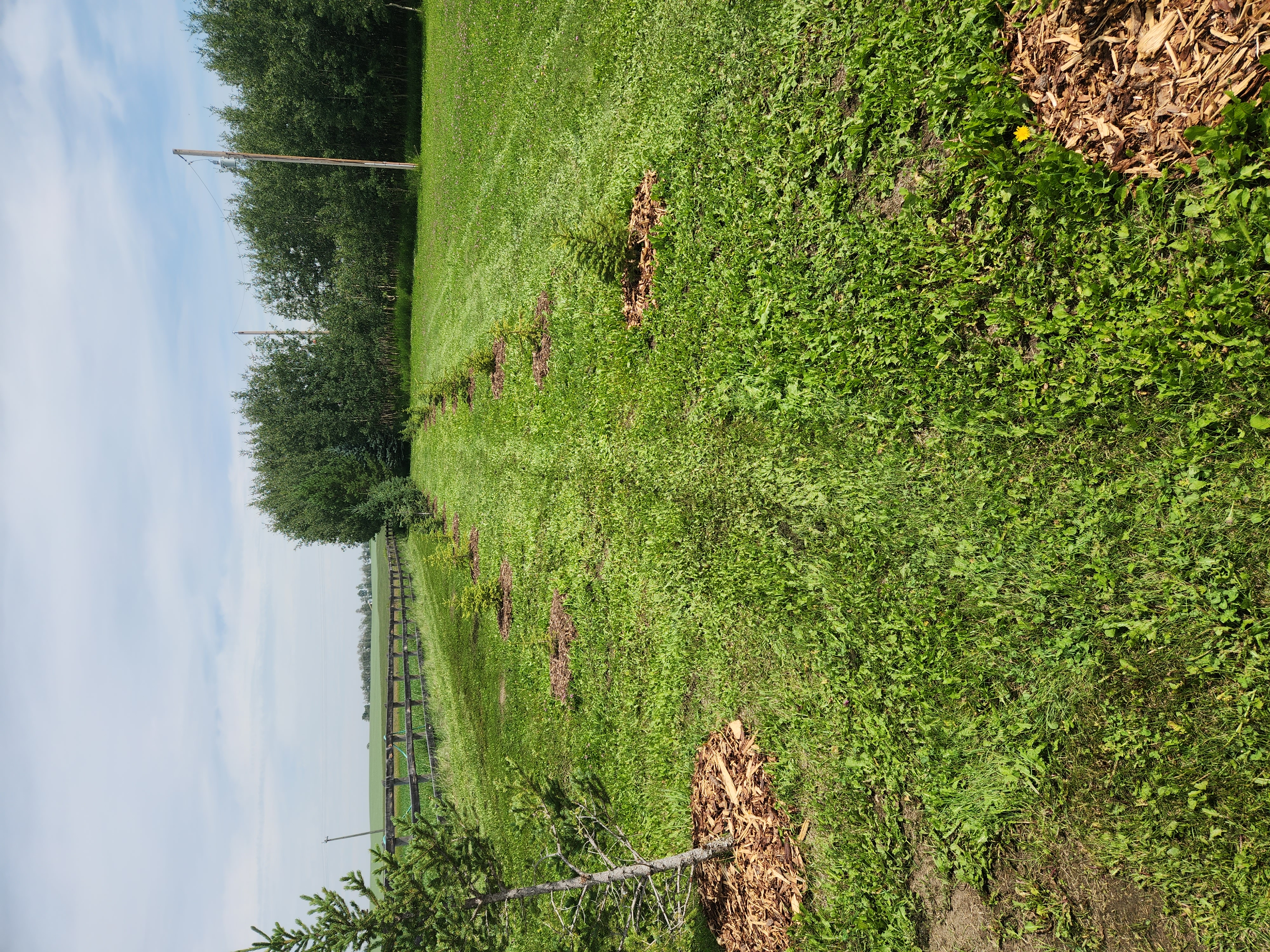 7.8-Acre Acreage by Sundre, Horse Friendly, Quiet