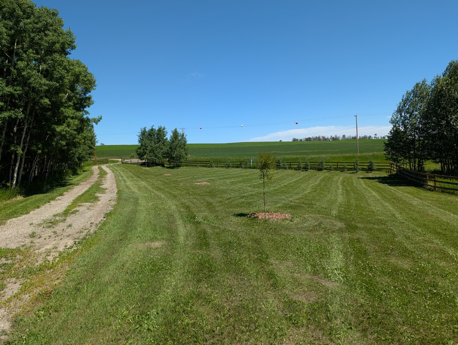 7.8-Acre Acreage by Sundre, Horse Friendly, Quiet
