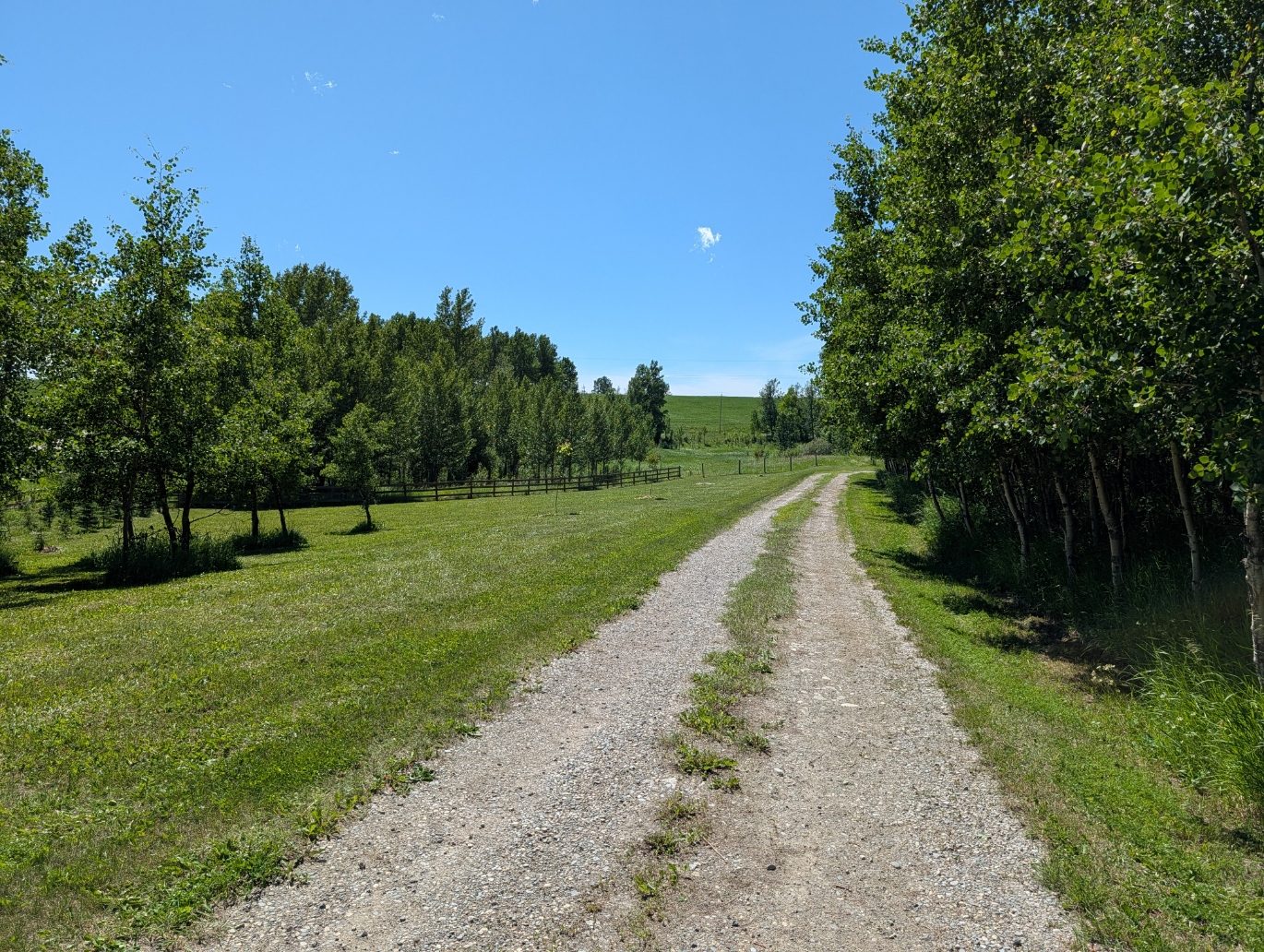 7.8-Acre Acreage by Sundre, Horse Friendly, Quiet