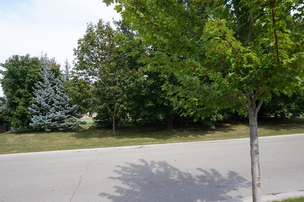 Vacant Land For Sale in Mississauga, ON