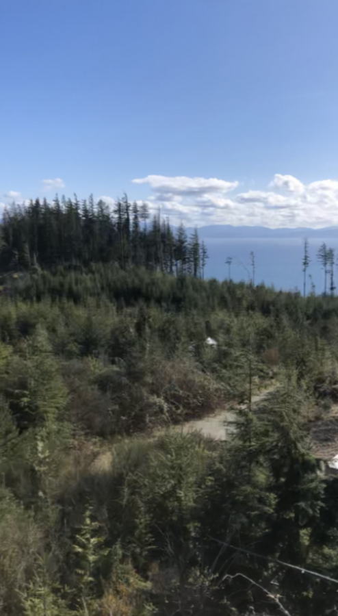 80 Acres with Ocean Views