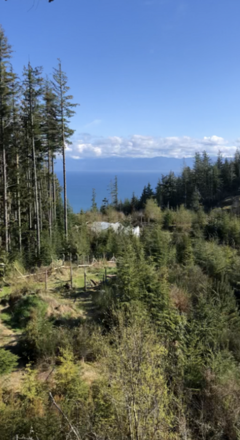 80 Acres with Ocean Views