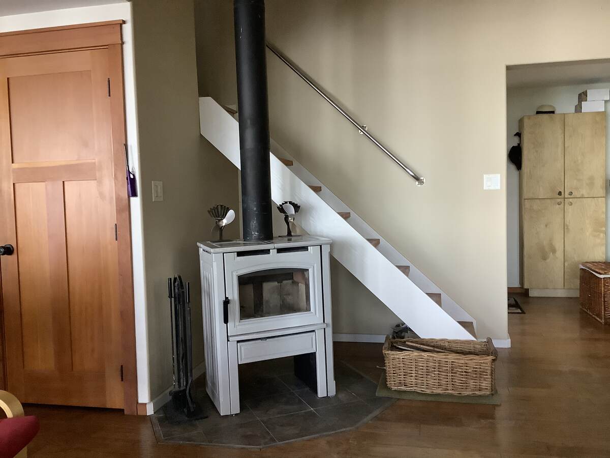 Practically new Pacific Energy wood stove