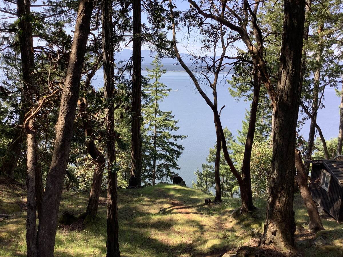 View from the deck