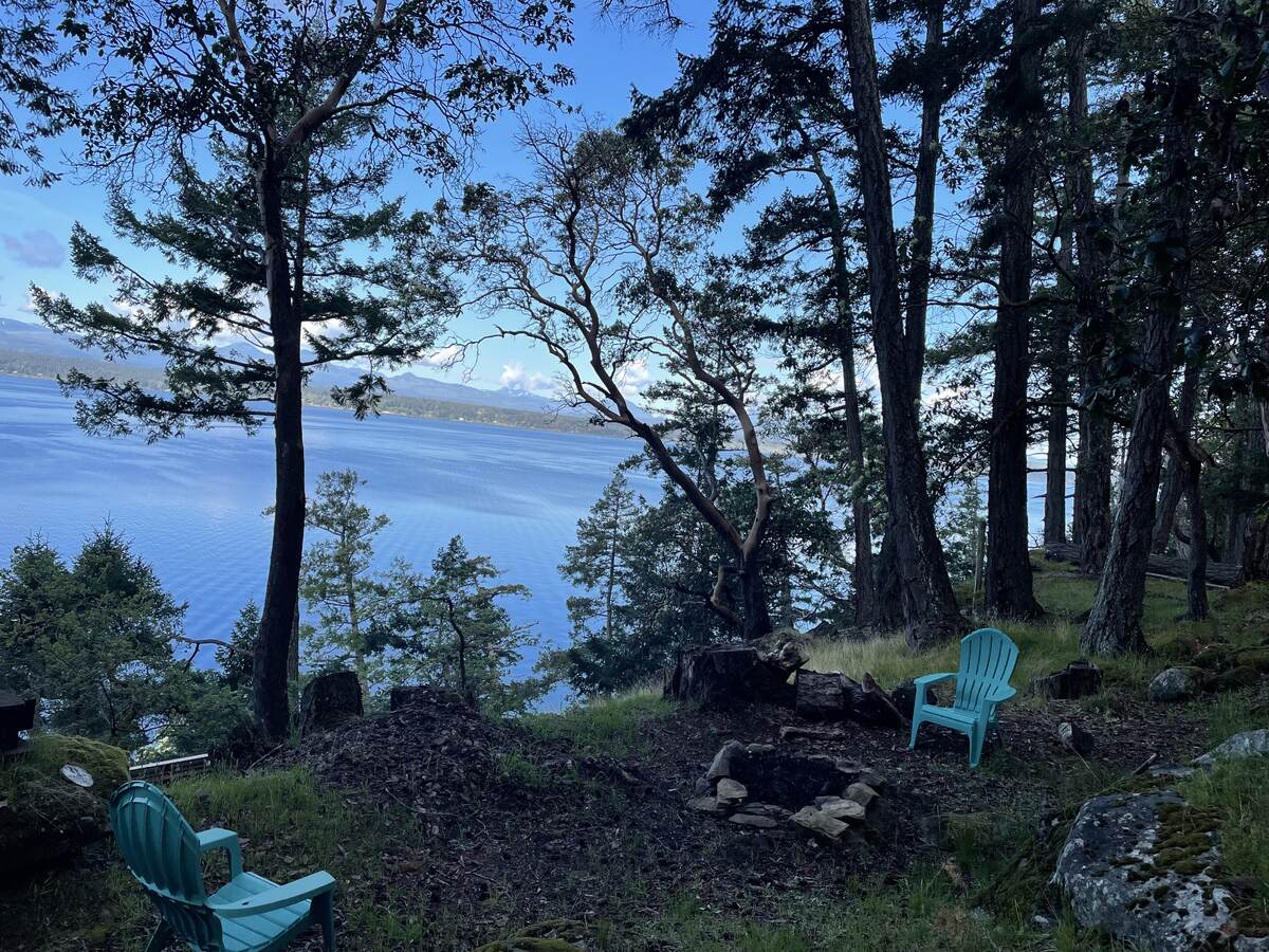 Morning view
