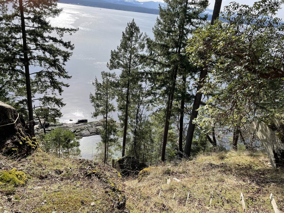 The Cove above