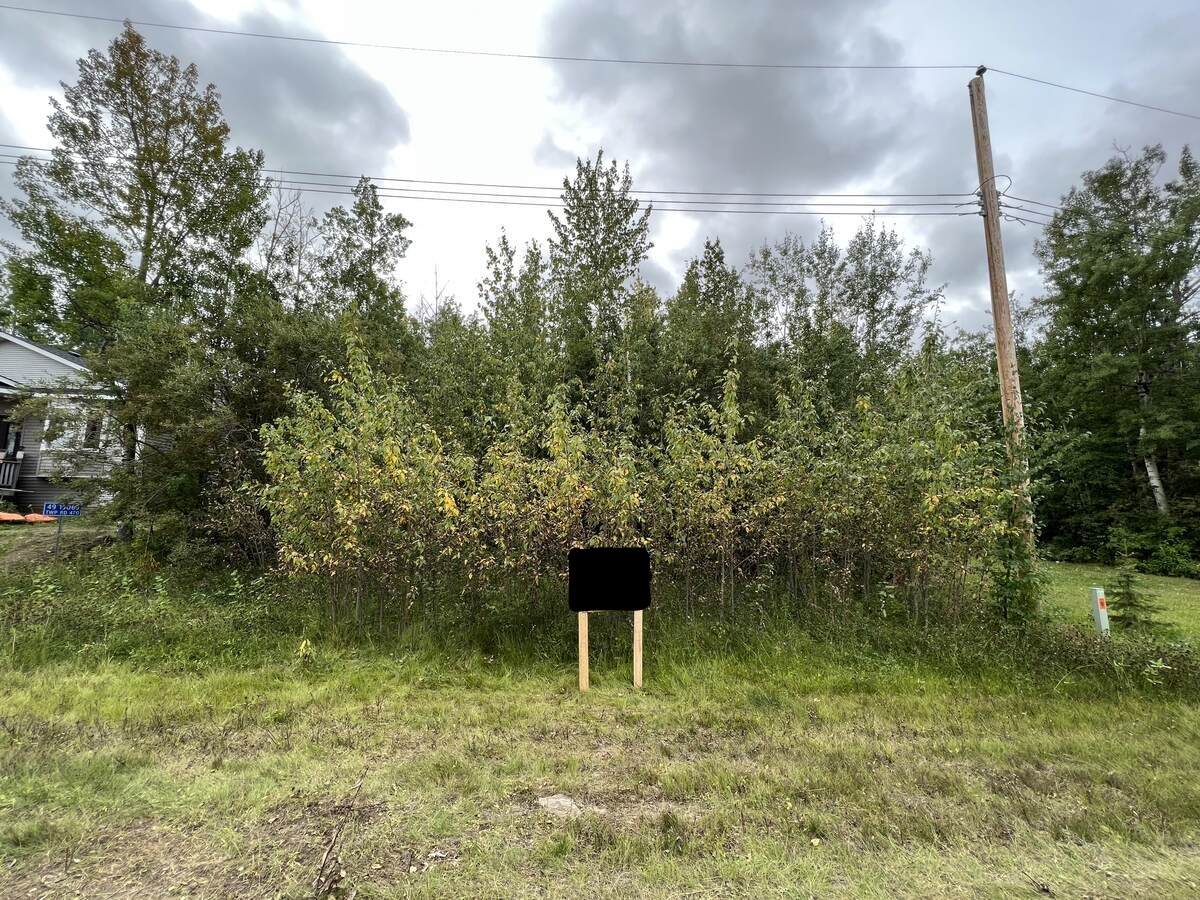 Recreational Property / Vacant Land For Sale in Pigeon Lake, AB