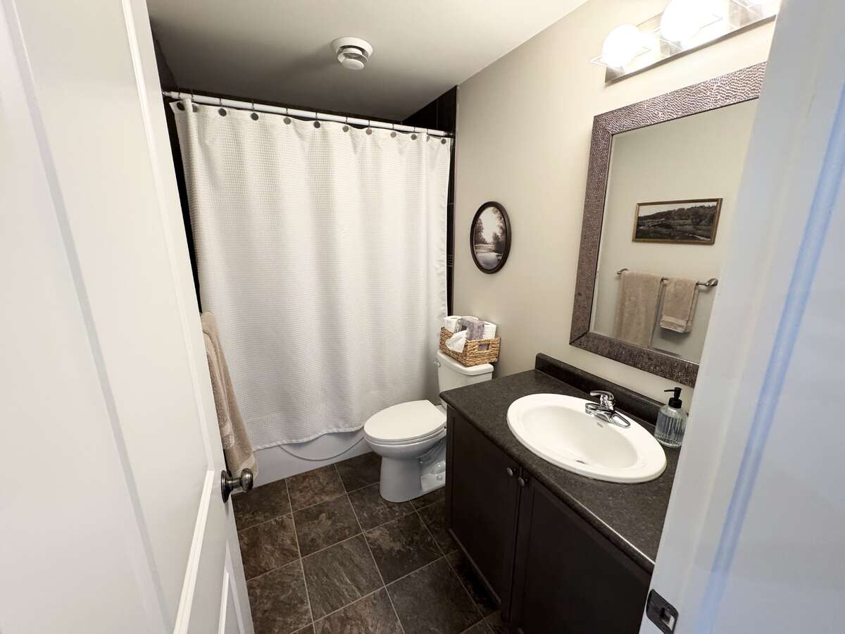 Basement Bathroom