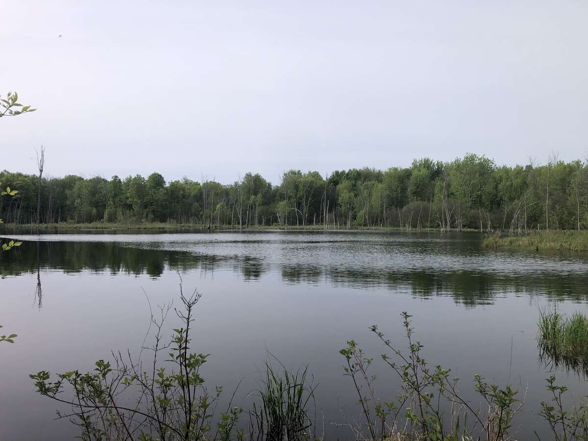 Freshly Renovated, Peace and Privacy, Acreage