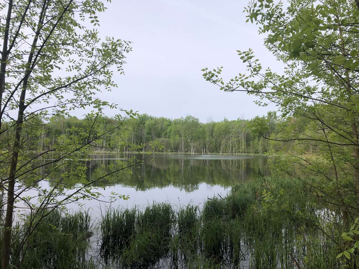 Freshly Renovated, Peace and Privacy, Acreage