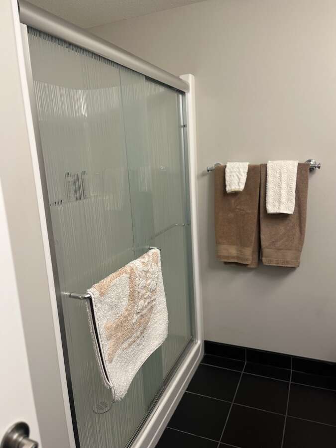 Lower level bathroom with walk in shower
