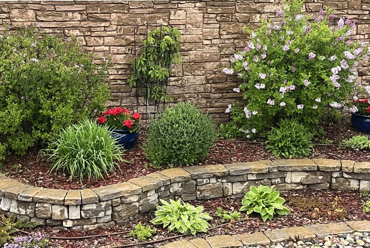 Beautiful perennial beds