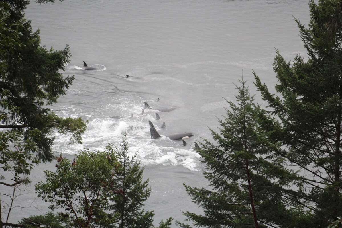 This, and the following pics were taken from the deck, unless noted