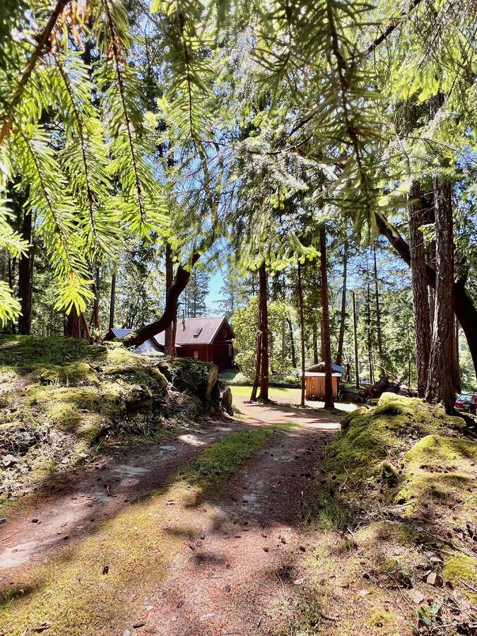 Natural bank for privacy from the road