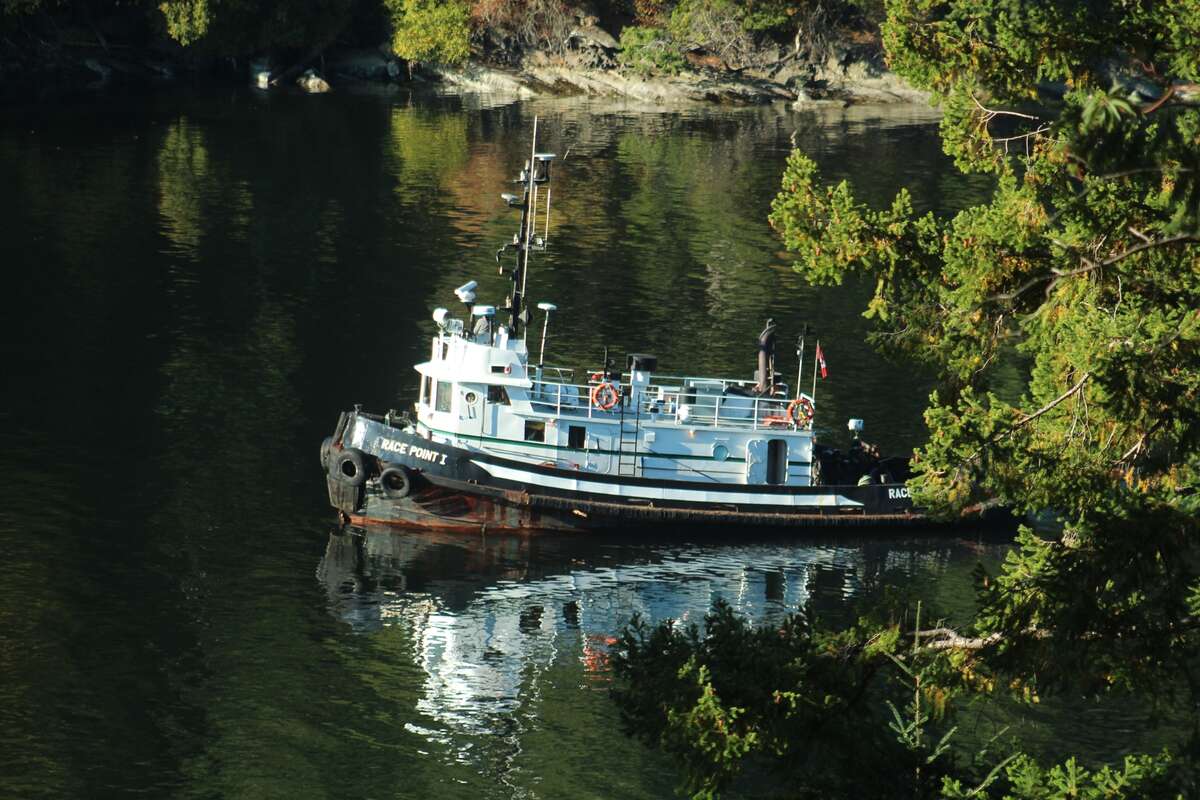 This, and the following pics were taken from the deck, unless noted