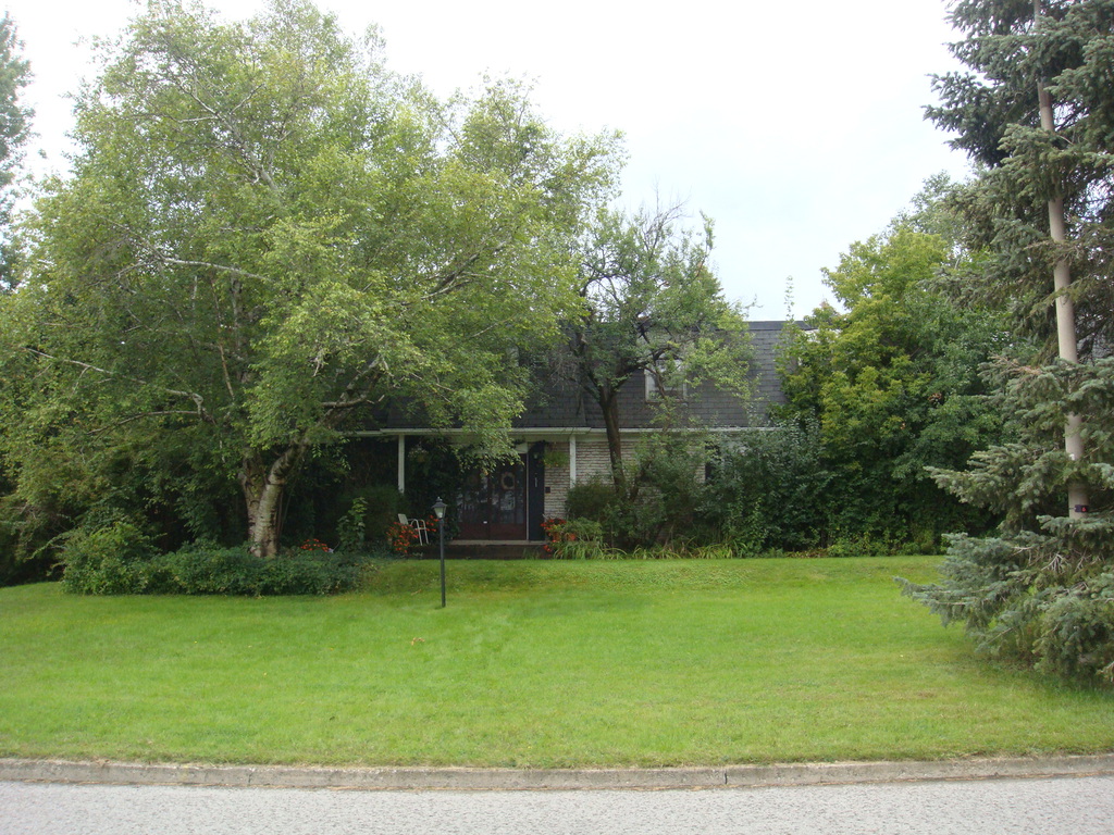 Another Front View