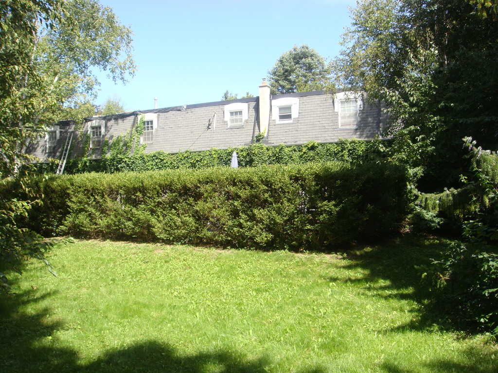 Hedge Surrounding the Pool