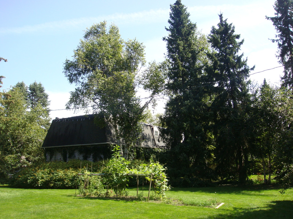North Side View