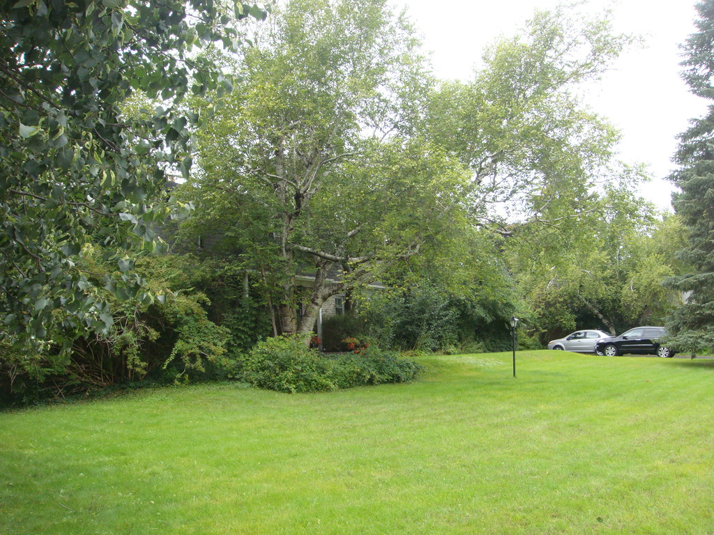 View From the South