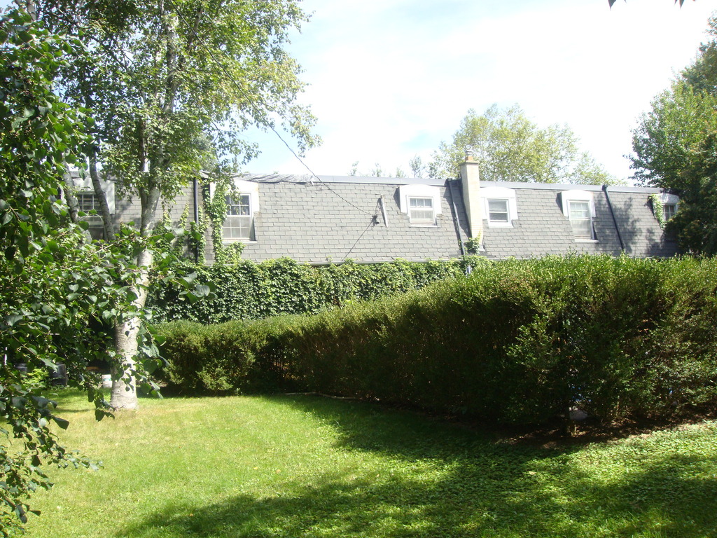 Pool is Behind the Hedge