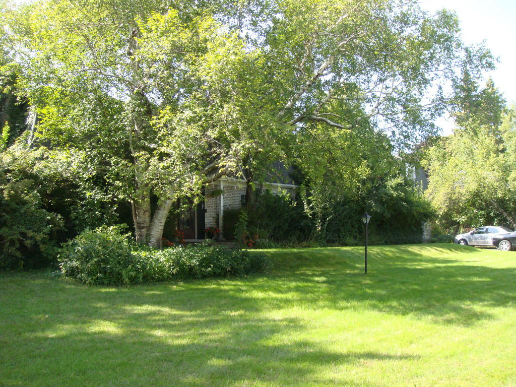 Southeast View