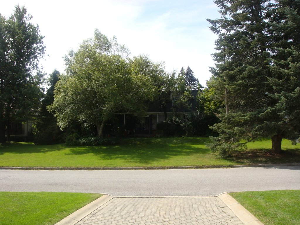 View From the East