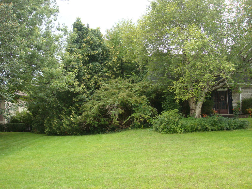 View From the Southeast