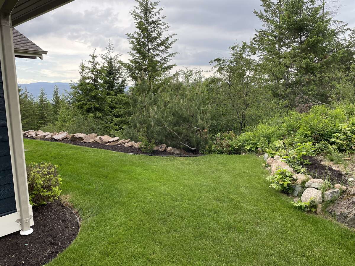 No build zone behind house.