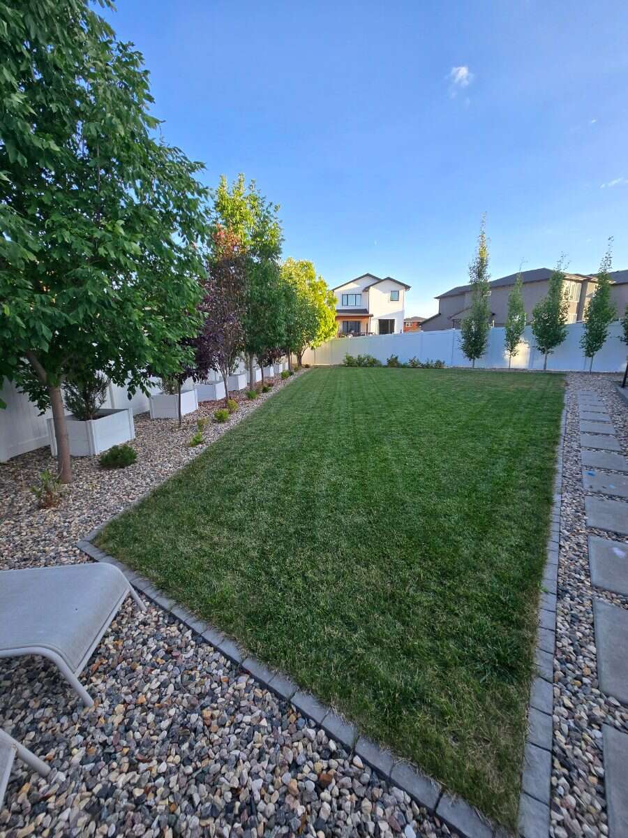 Bright 4 Bedroom Home with Beautiful Backyard 