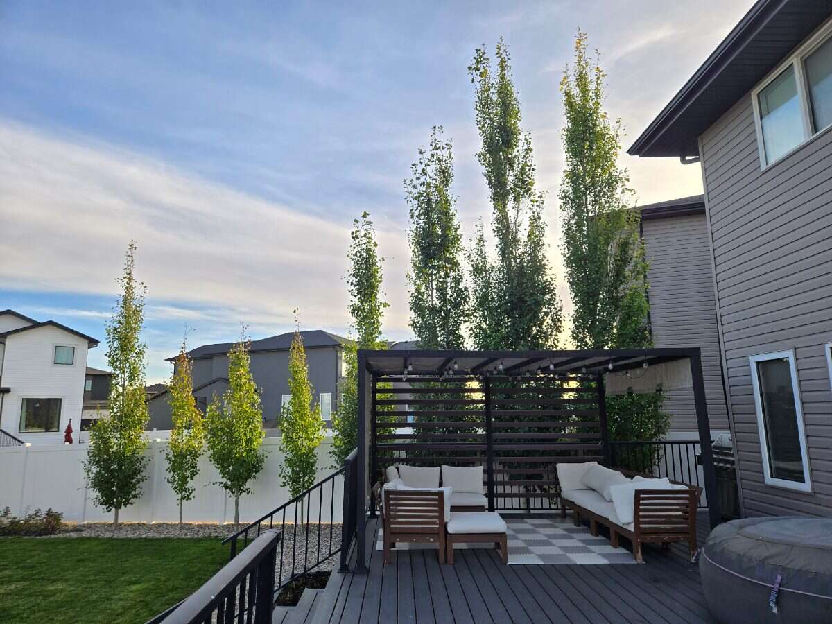 Bright 4 Bedroom Home with Beautiful Backyard 