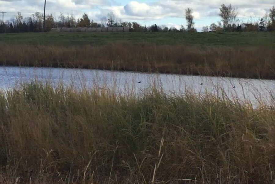Waterfront lot on highway 15 and collins lake road