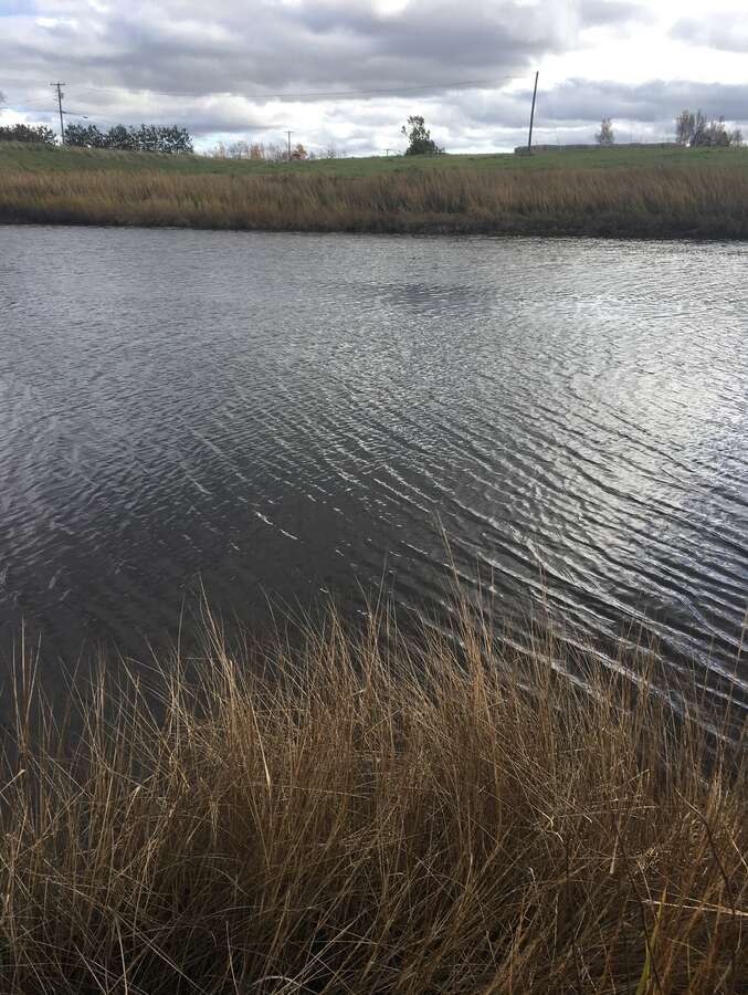 Waterfront lot on highway 15 and collins lake road