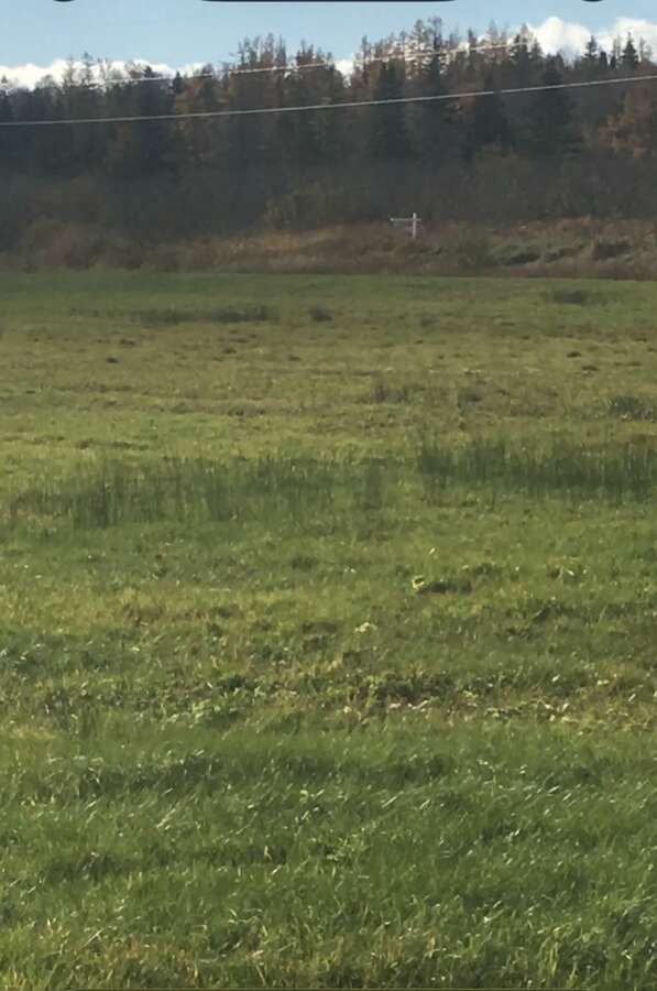 Waterfront lot on highway 15 and collins lake road