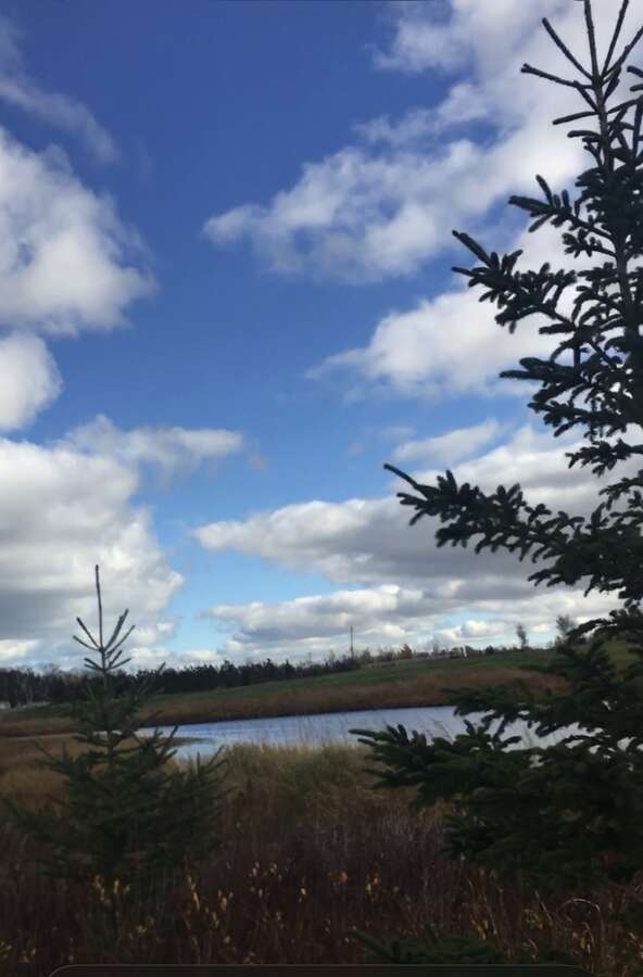 Waterfront lot on highway 15 and collins lake road