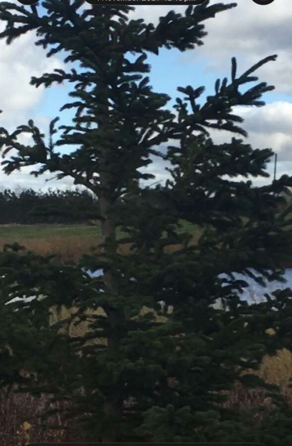 Waterfront lot on highway 15 and collins lake road