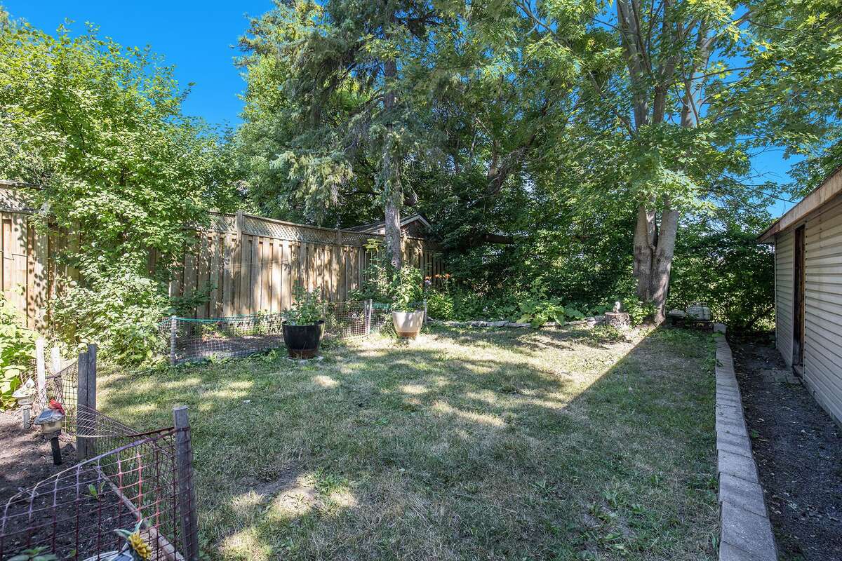 Really private fenced backyard with vines privacy at the back - Large shed with electricity on the right