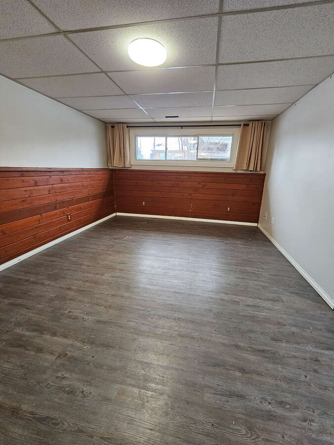 Basement Living Room