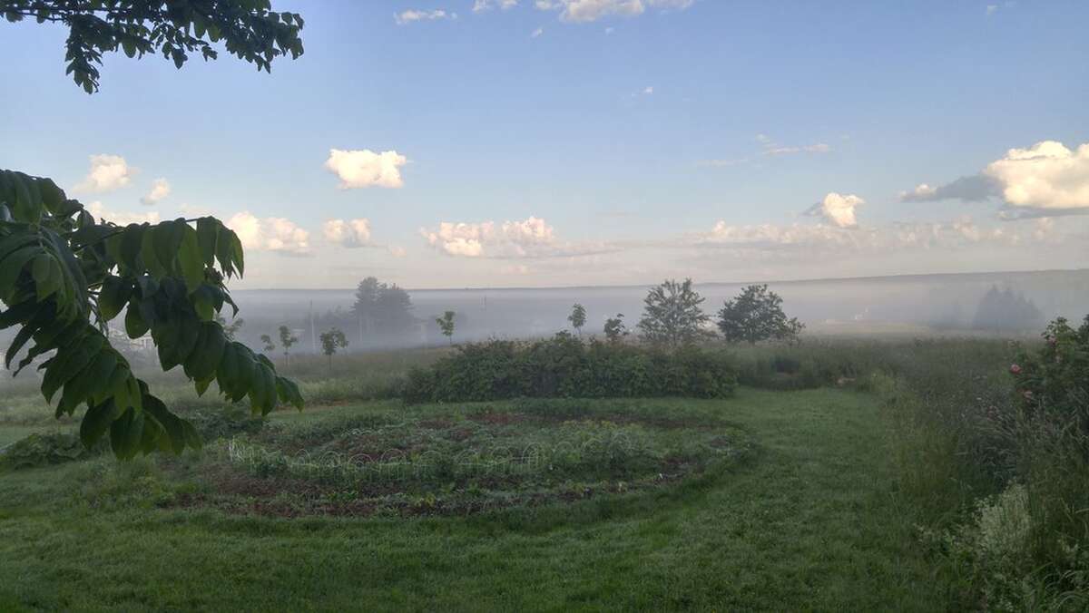 Mists over the garden