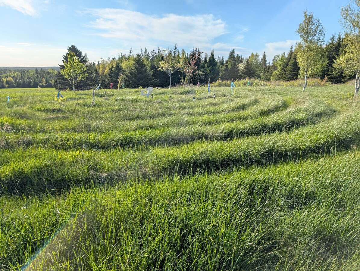 Acreage Living with Town Services and Amenities
