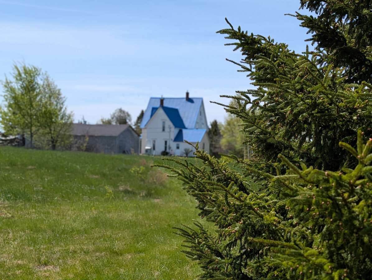 Acreage Living with Town Services and Amenities
