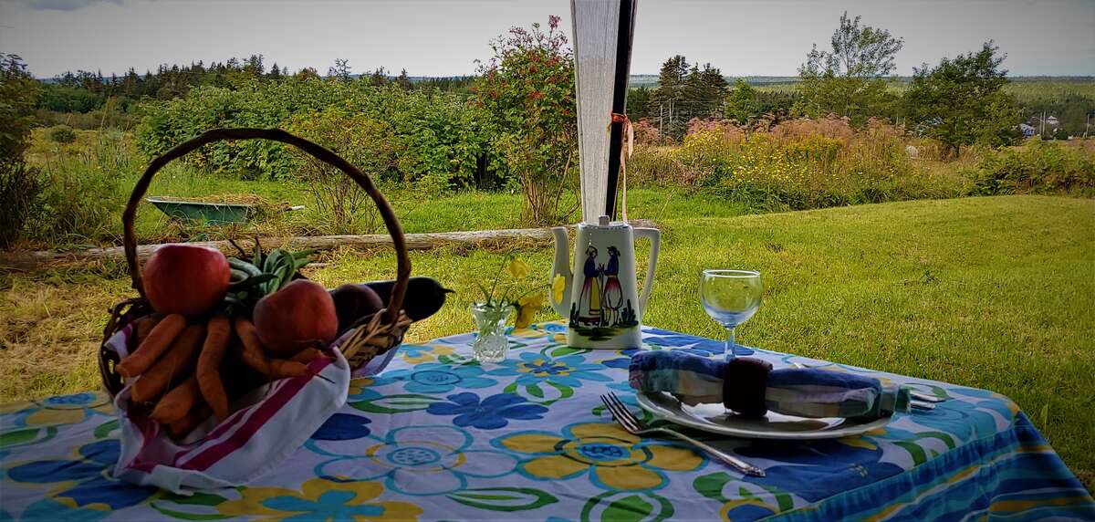 Garden picnic
