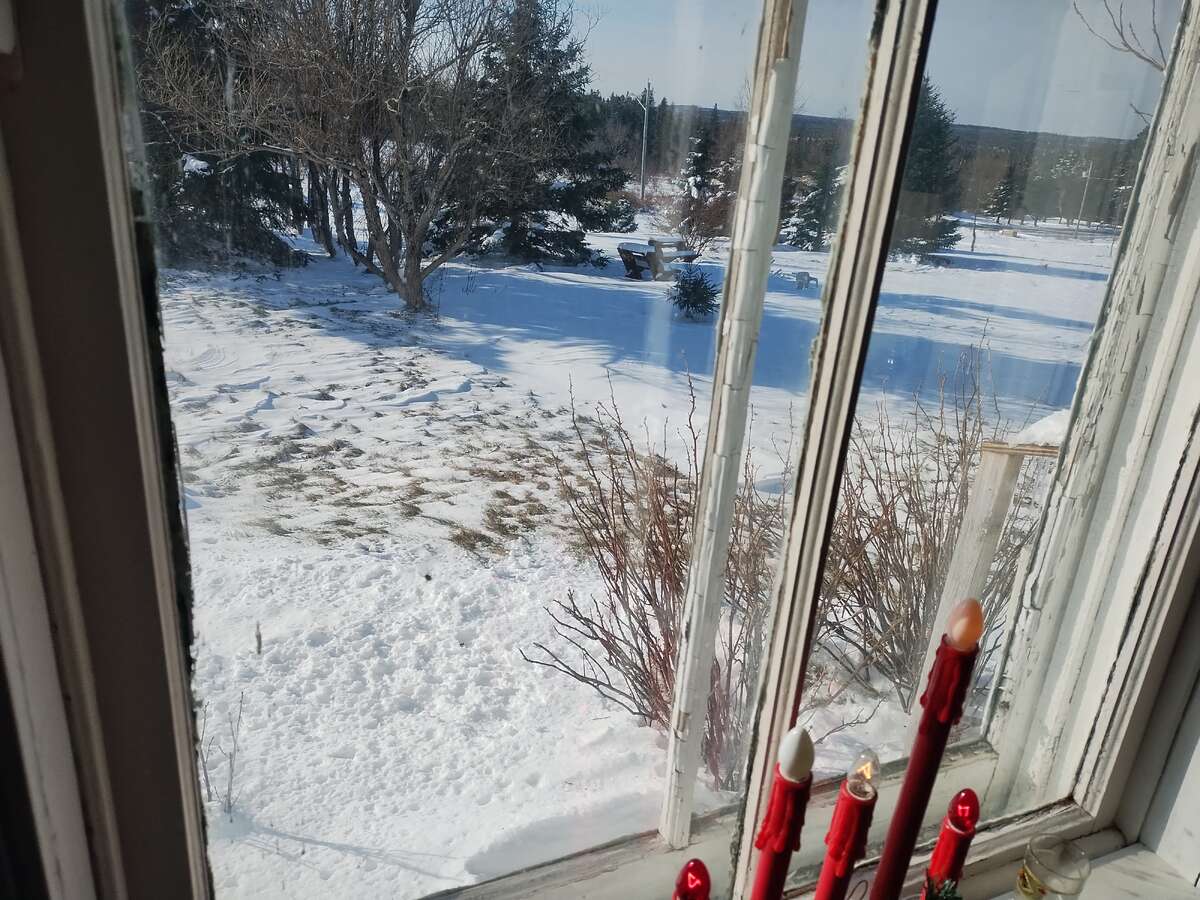Side garden from dining room