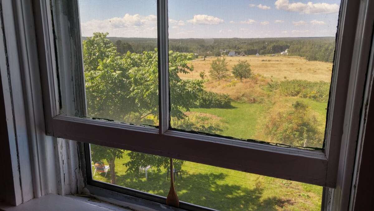 View from garden room