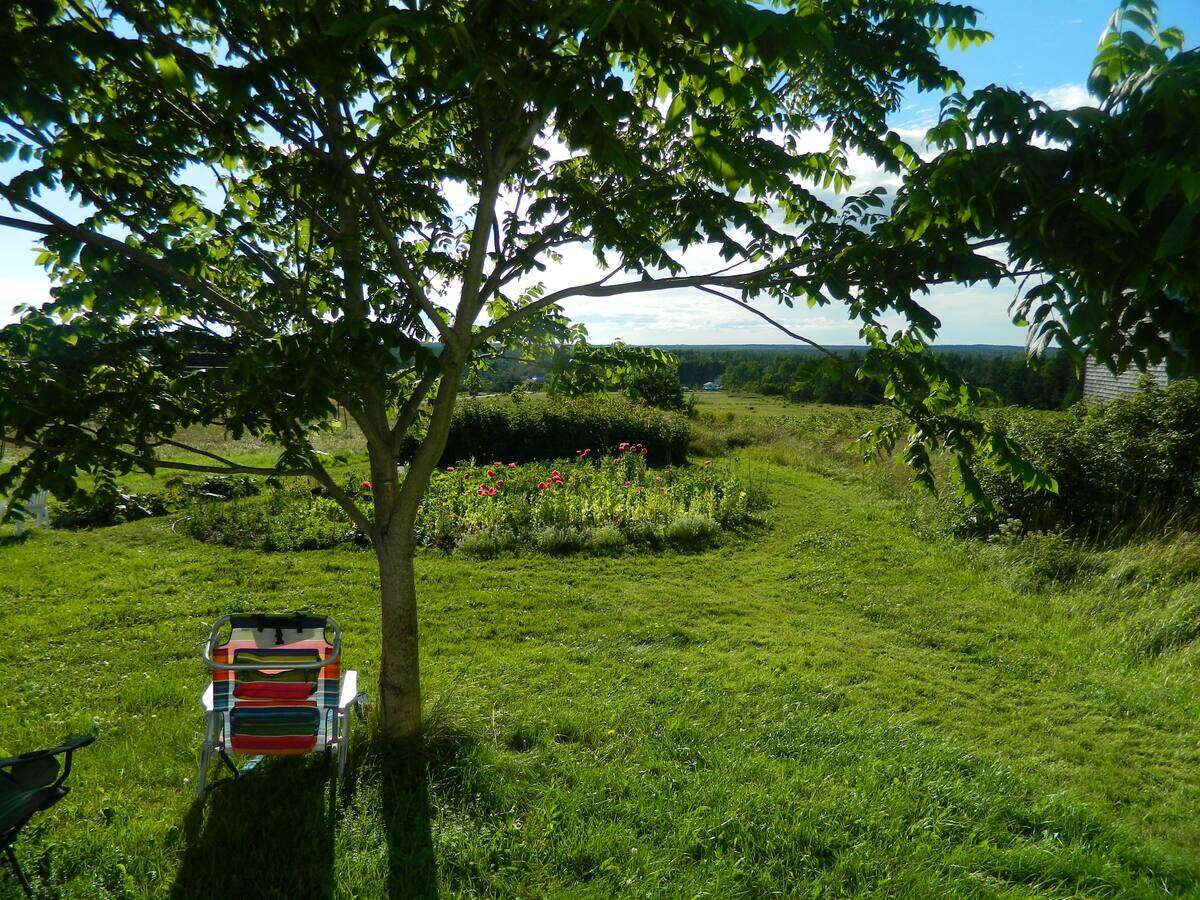 Relaxing under the walnut tree