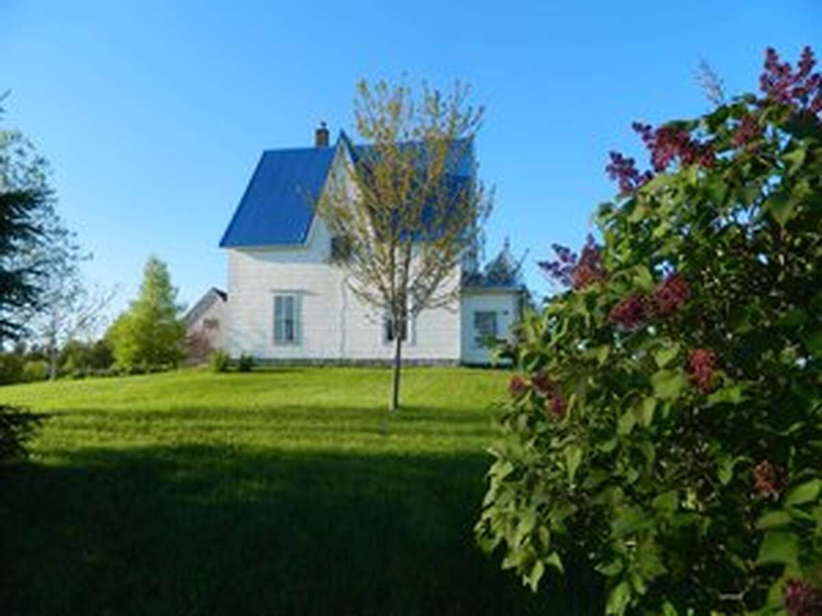 Side view with Lilacs