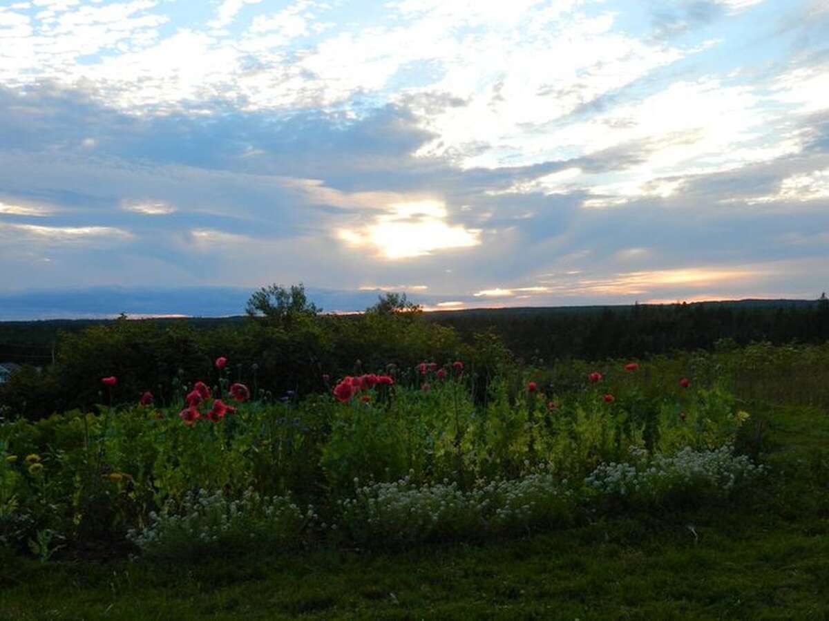 Sunseet over the garde