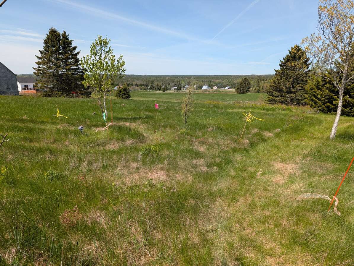 Acreage Living with Town Services and Amenities